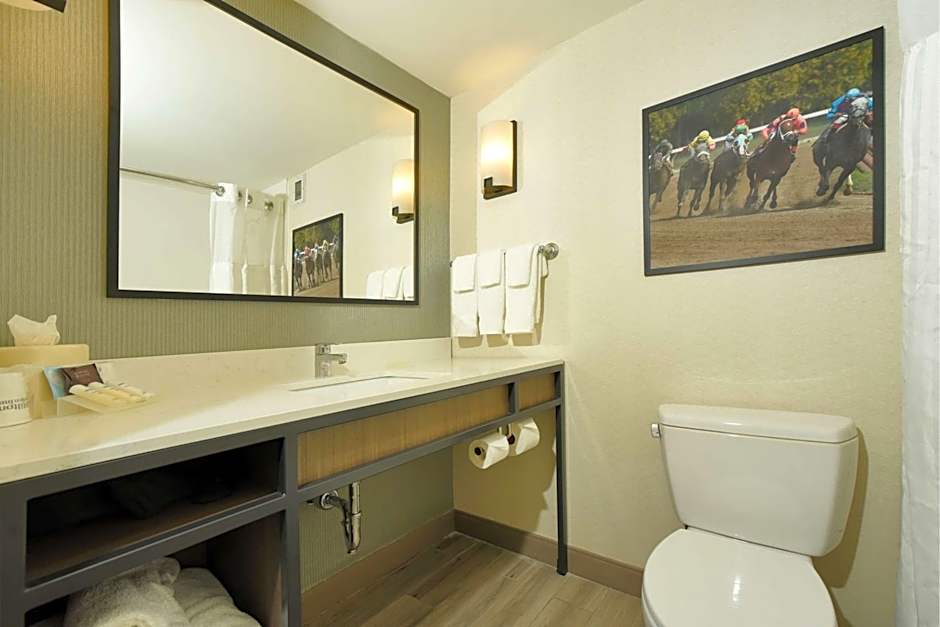 Hilton Garden Inn Saratoga Springs