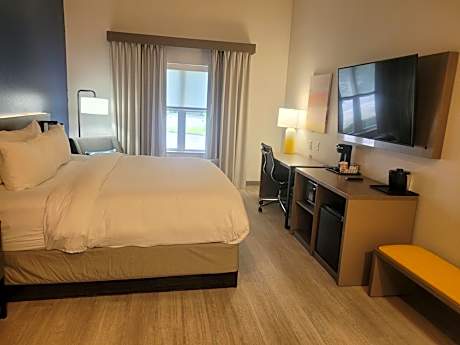 1 King Bed, Nonsmoking, Accessible