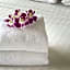Xpress Inn & Extended Stays