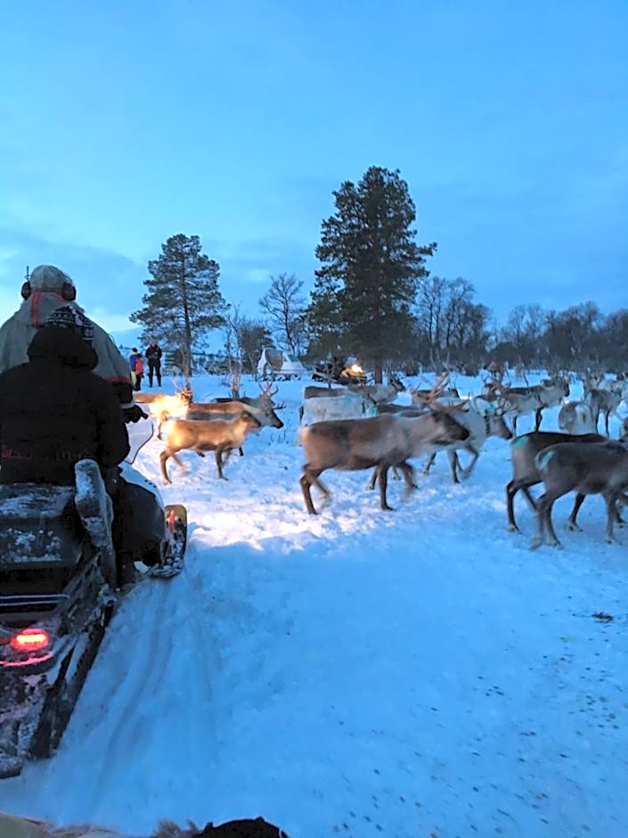 Bardufoss Hotell