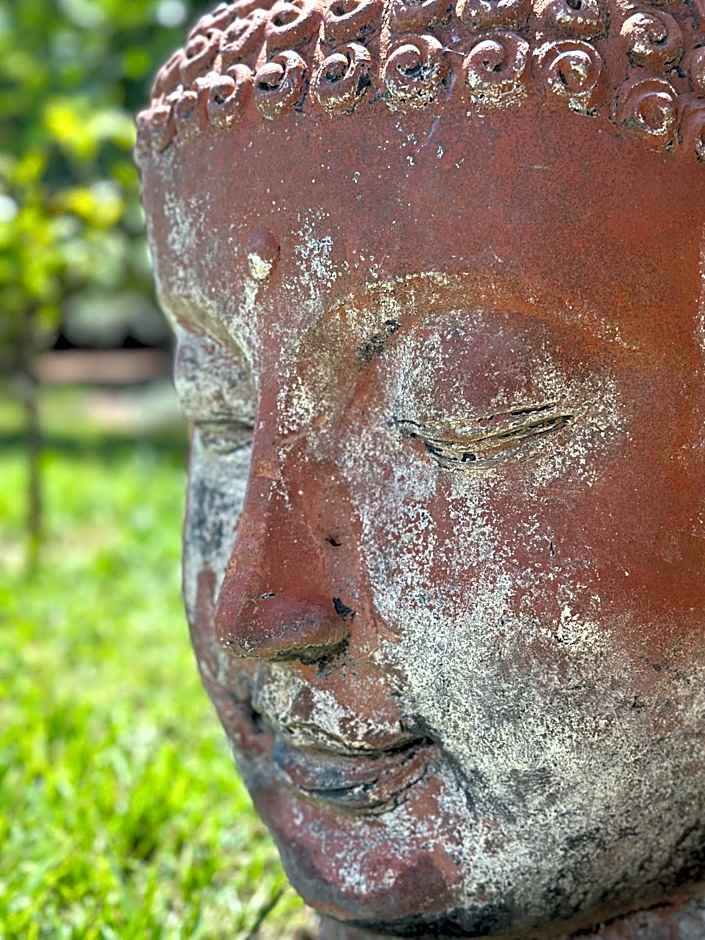 Hôtel Ambassador Palombaggia