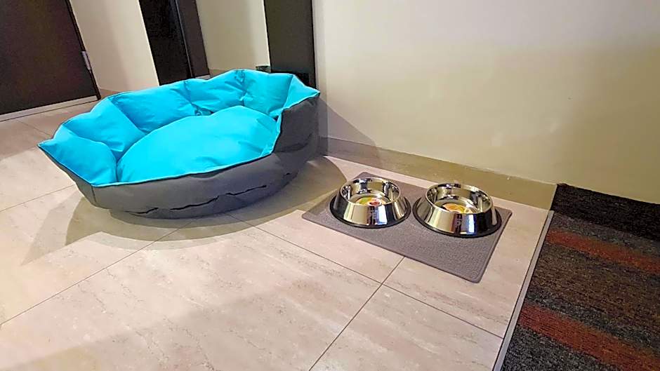 Holiday Inn Mexico Dali Airport By IHG