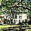 1560- Domaine Des Cinq Jardins- A Magical and Authentic Mansion