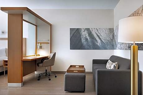 King Studio with Sofa Bed and Roll-in Shower - Mobility Accessible