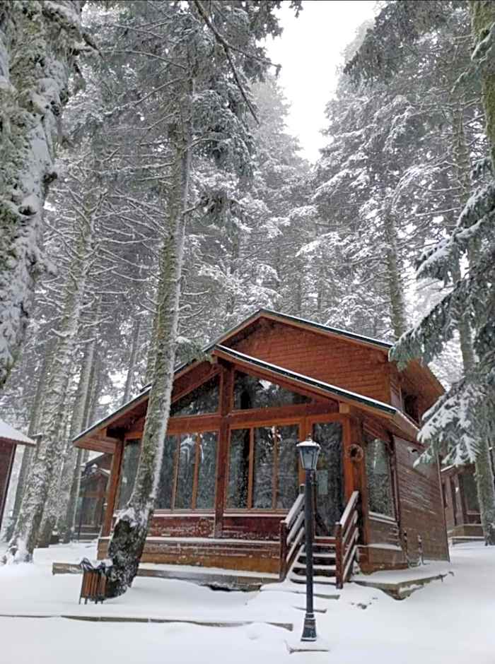 Karinna Orman Evleri