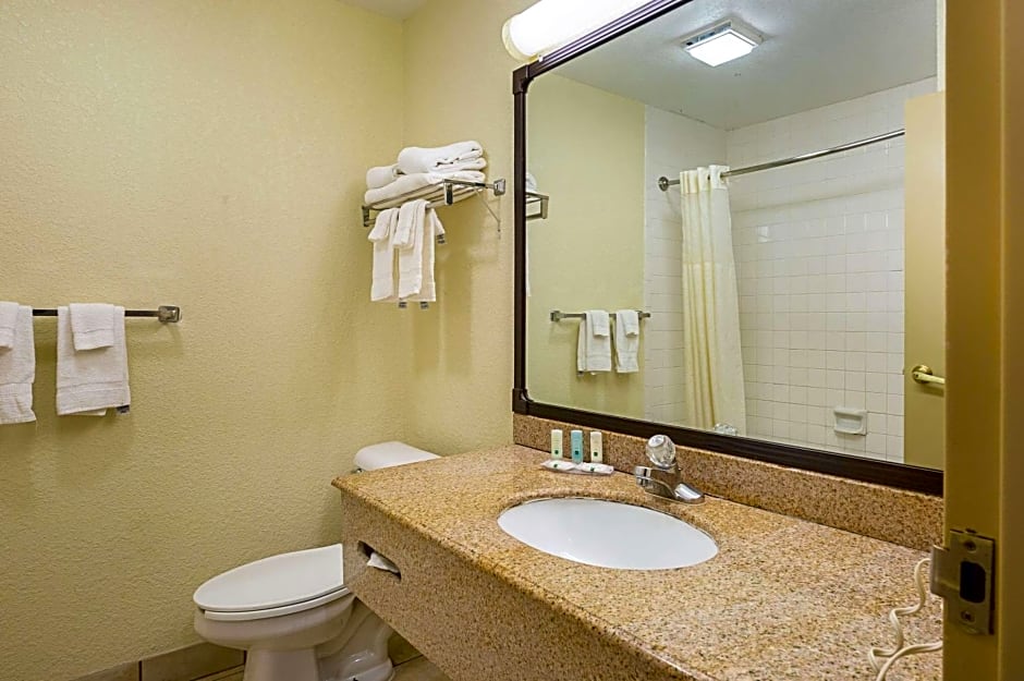 Quality Inn and Suites NRG Park - Medical Center