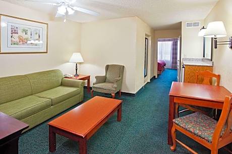 1 King Bed, Suite, Nonsmoking, Accessible