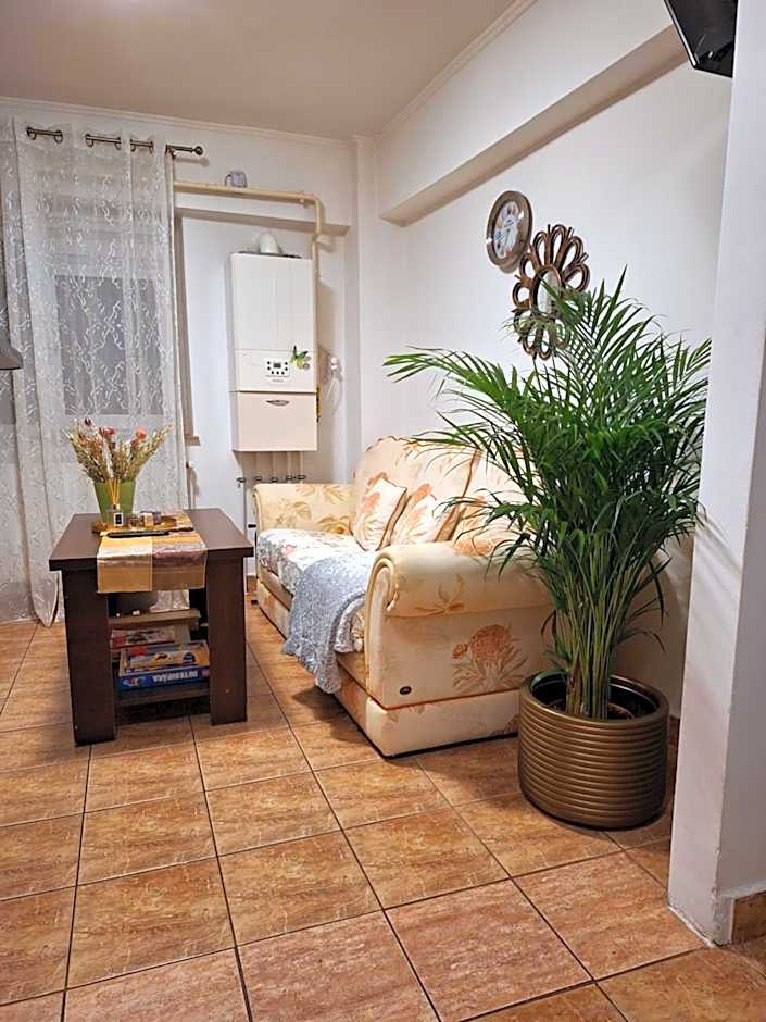 Apartament Florina