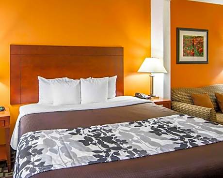 1 King Bed, Suite, Nonsmoking