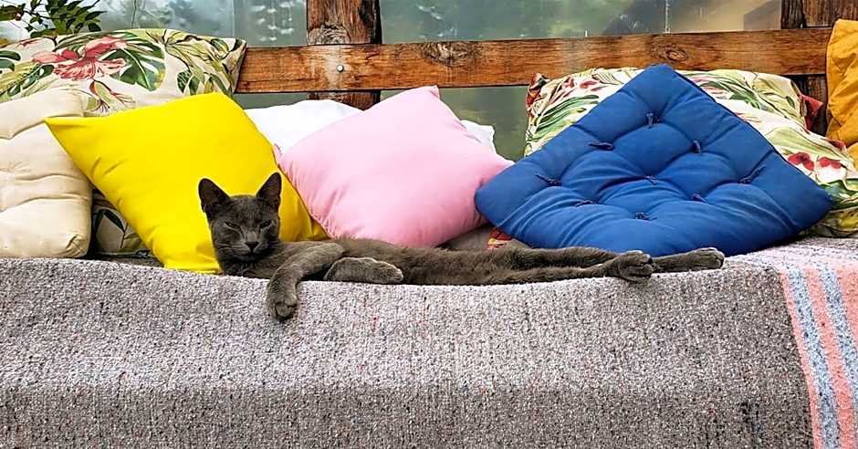 Hospedaria Vida na Roça