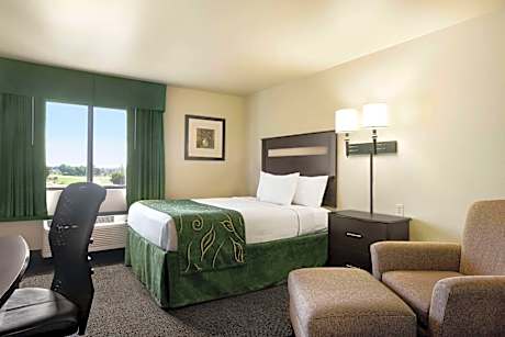 1 Queen Bed Non-Smoking