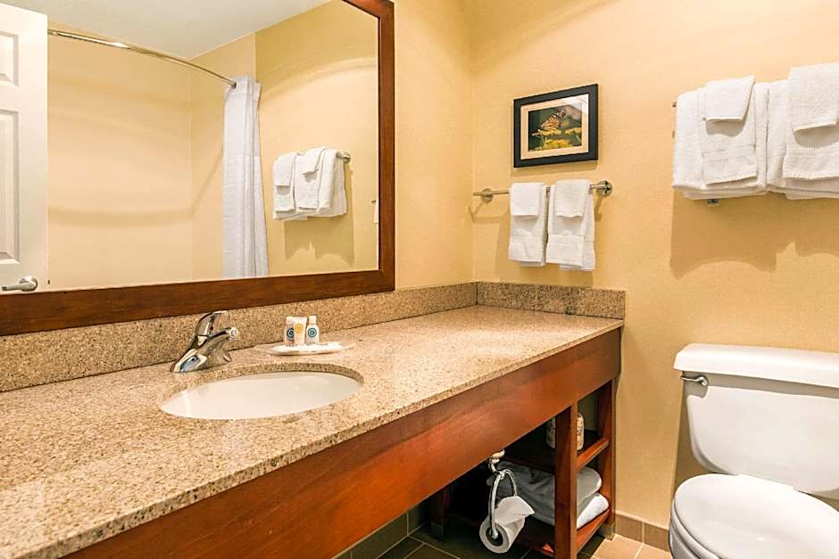 Comfort Suites Normal University area