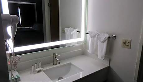 1 King Bed Nonsmoking Accessible