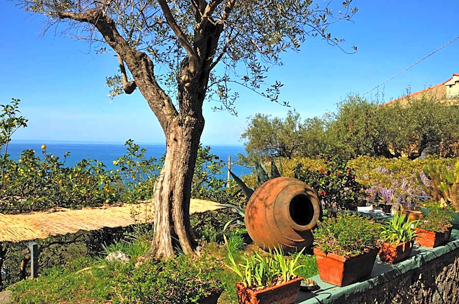 Hotel Villa Belvedere