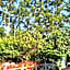 Panorama Green View Hotel