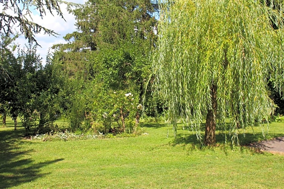 Dans le Jardin de Marie