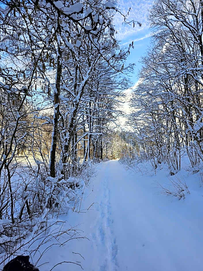 Landhotel Halbfas-Alterauge