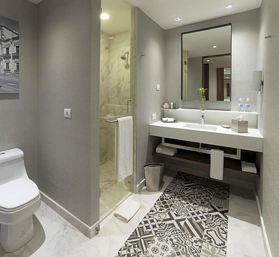 Krystal Urban Guadalajara