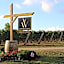 Vineyard Woods