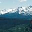 Pinnacle Hotel Whistler