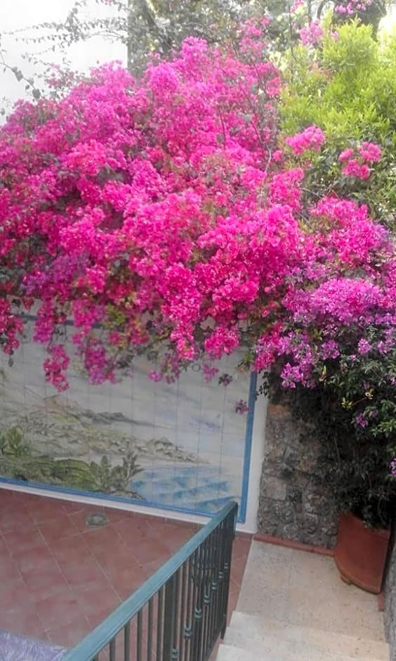 B&B La Dimora Di Alfonso