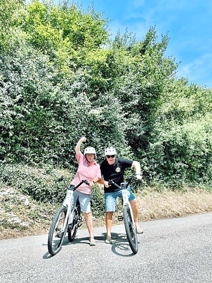 Bed Bike and Breakfast Olten