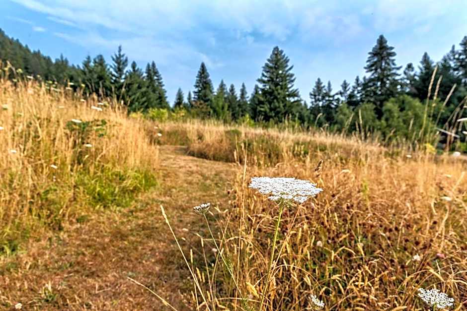 Carson Ridge Luxury Cabins