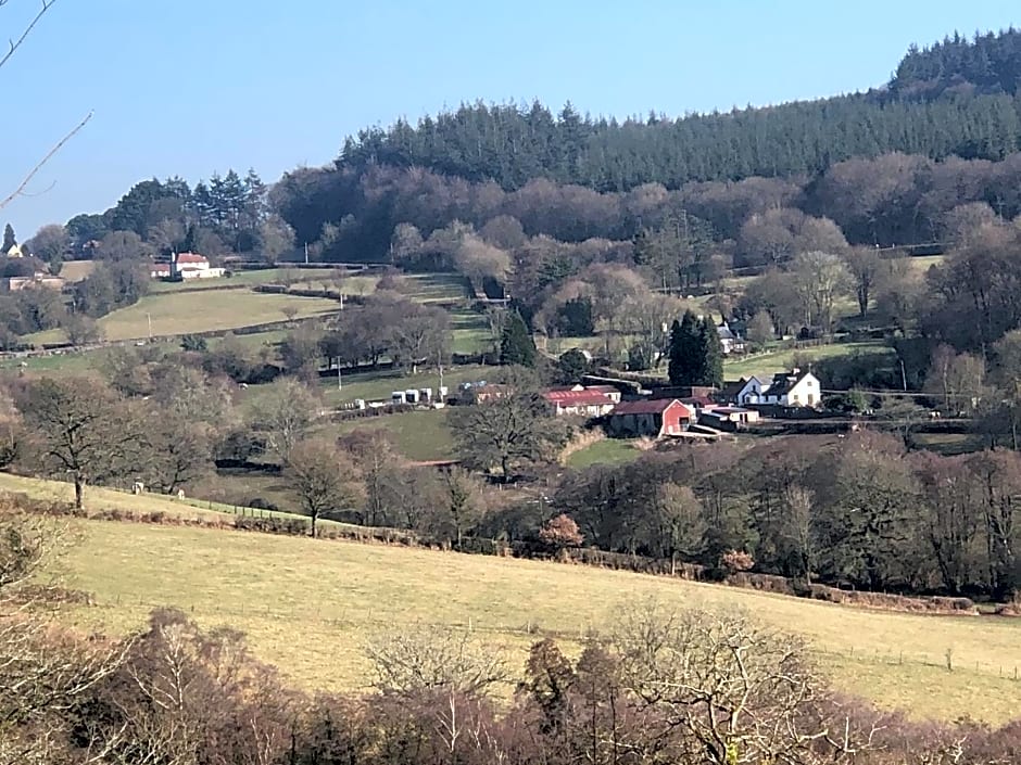 Welsh Marches at Upper Glyn Farm