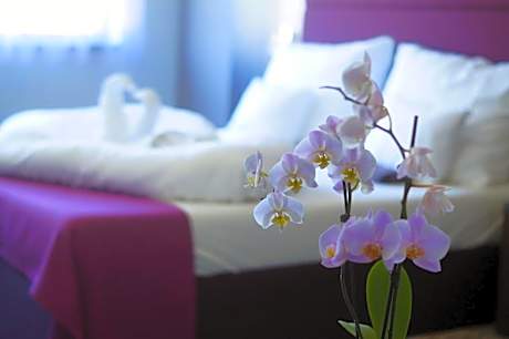 Fitromax Sportpanzió Ajka