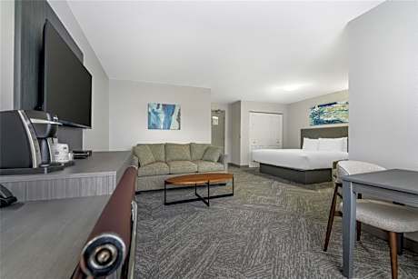 1 King Bed Non-Smoking Larger Room Sofabed For One Person Microwave Fridge Wi-Fi Full Breakfast