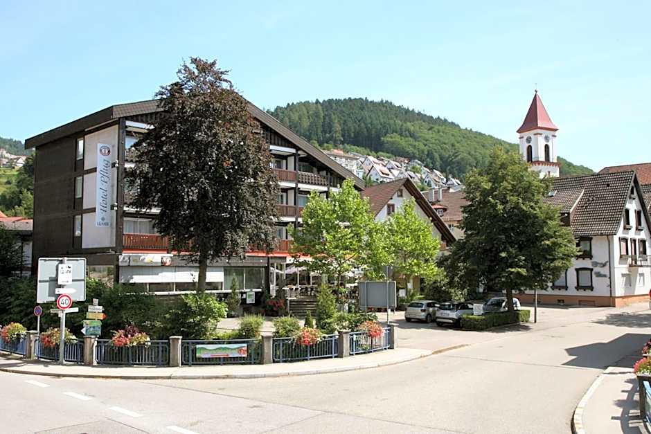 Hotel Pflug