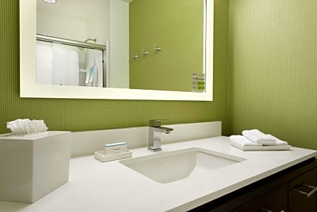 1 Queen Bed 1 Bedroom Suite Nonsmoking