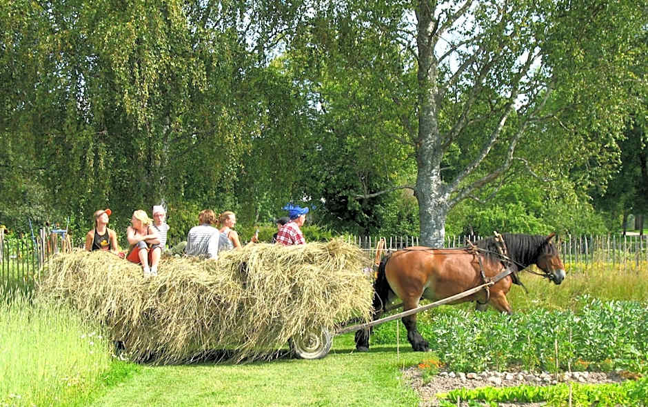 Wij Trädgårdskök på Wij Trädgårdar