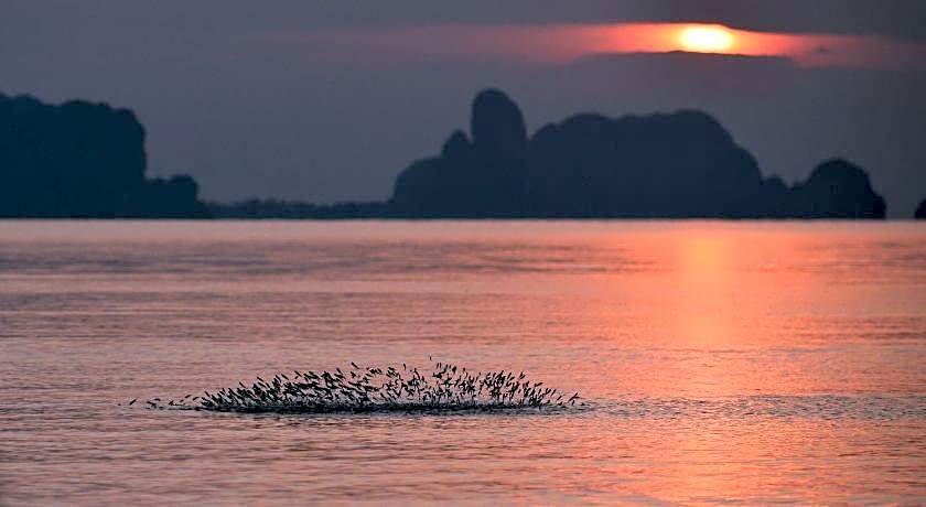 Just Fine Krabi Hotel