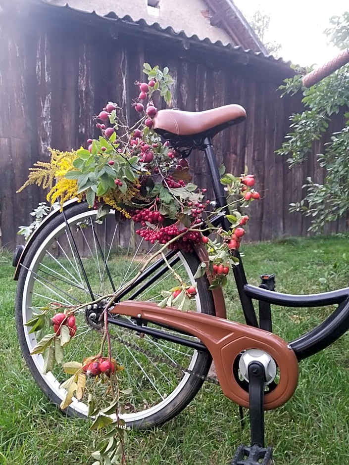 Domek na Skraju Wsi dostęp do jeziora UBLIK