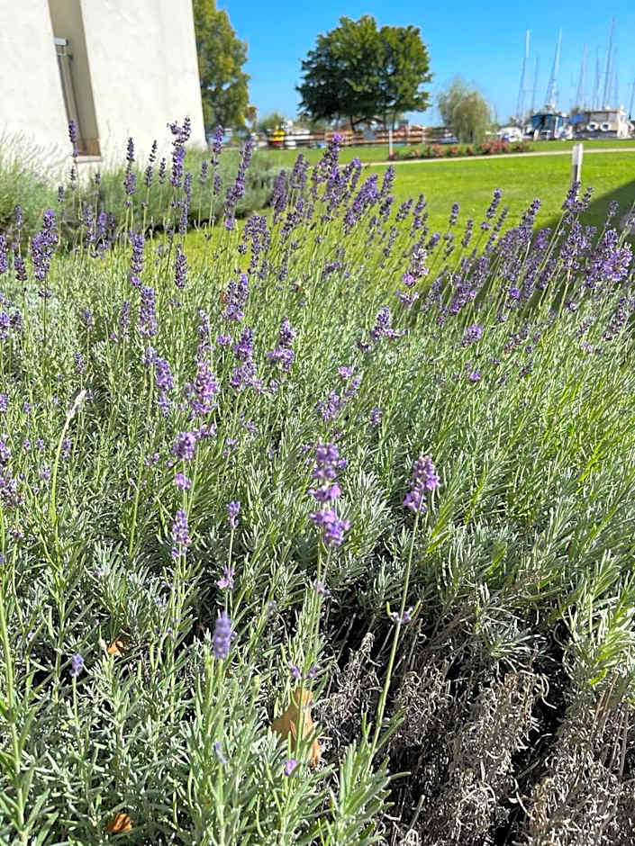 Akvárium Apartmanházak