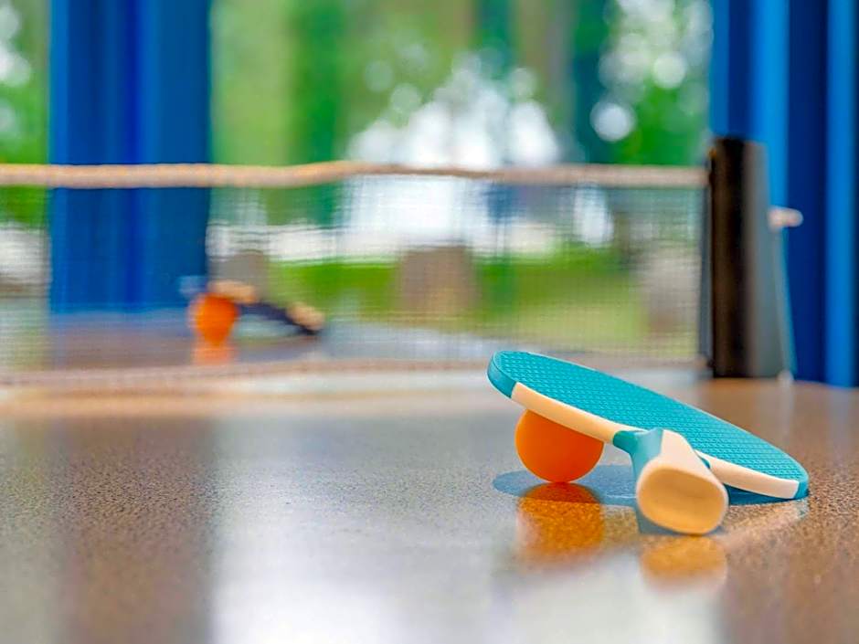 Hotel Ibis Budget Lyon Isle D'Abeau