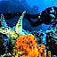 Cozumel Palace - All Inclusive
