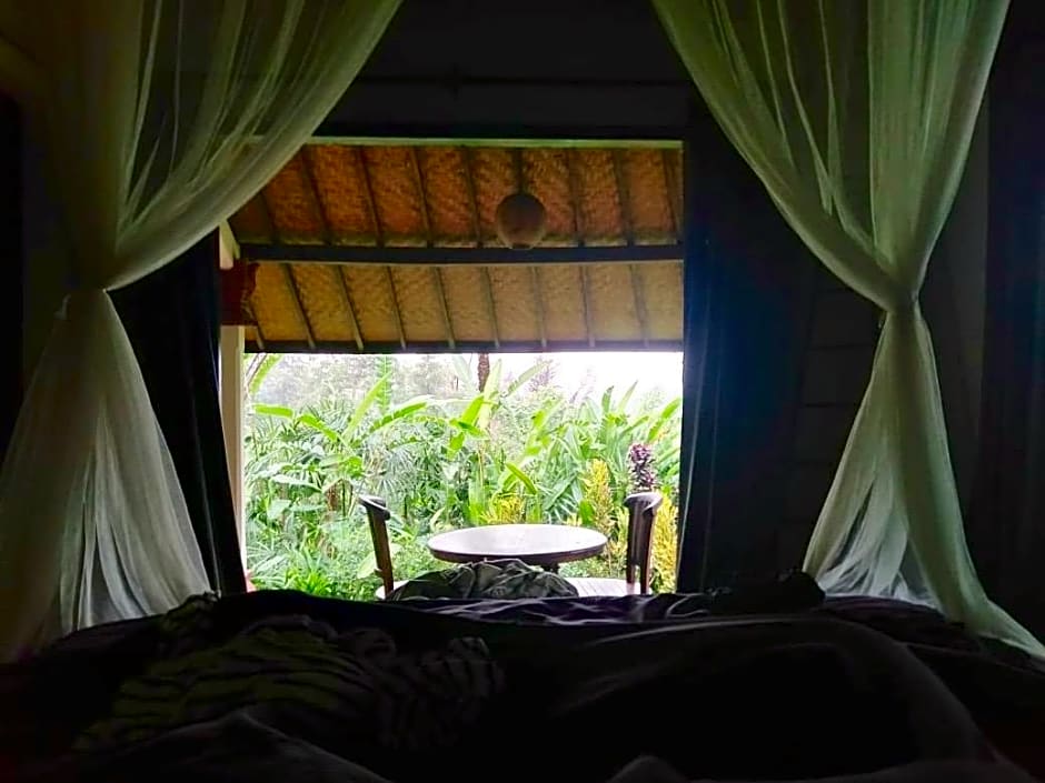 Bali Mountain Retreat