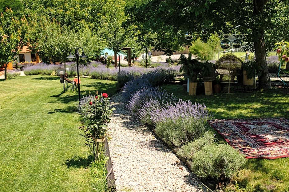 Reichau Transilvania