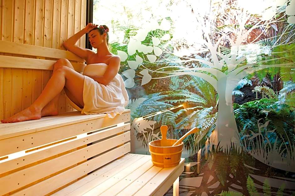 Treetops Lodge & Estate