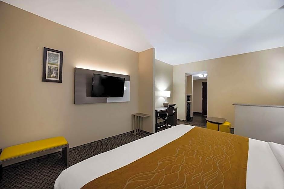 Comfort Inn and Suites 