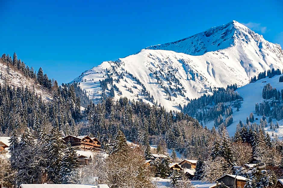 Hotel Le Grand Chalet Gstaad