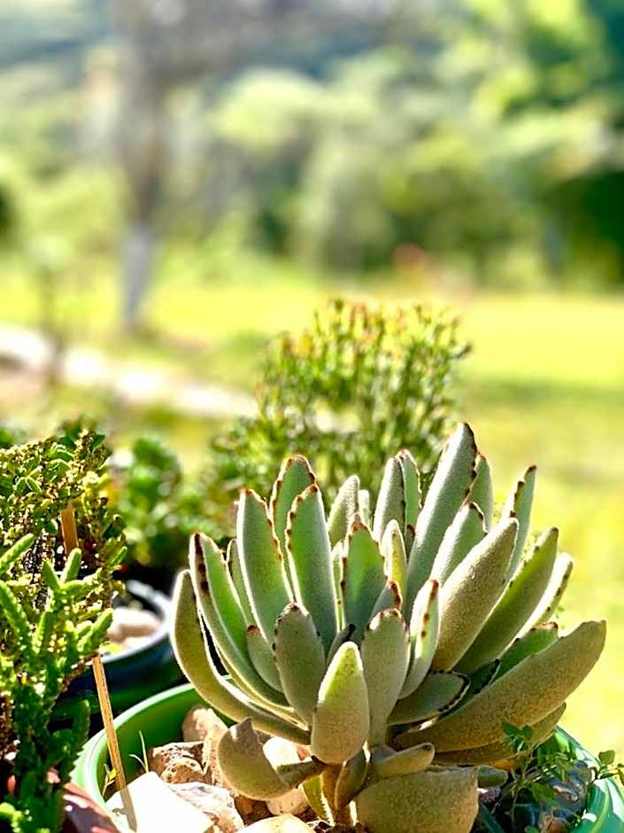 Recanto Roça Grande