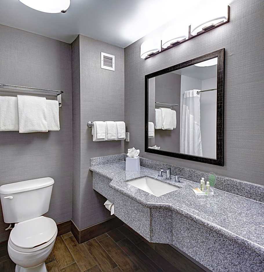 Holiday Inn Savannah Historic District By IHG