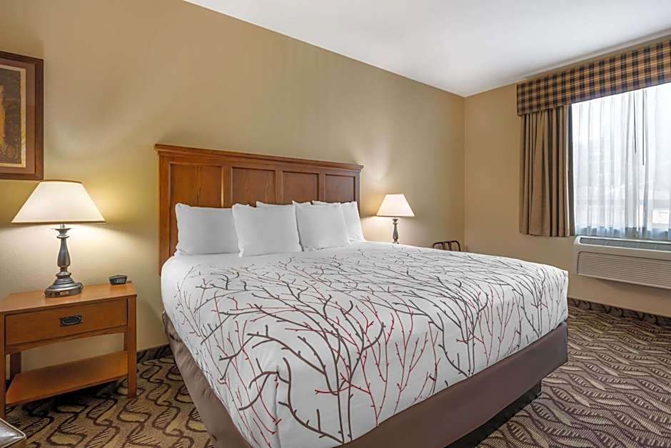 Best Western Lodge at River's Edge