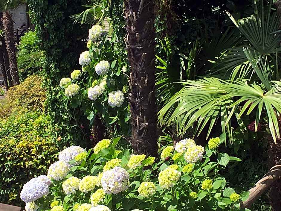 Residenza Bettina BnB & Ferienwohnungen