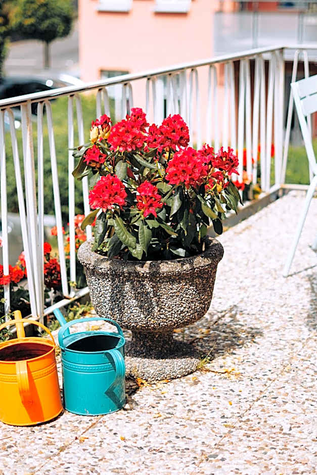 Molo Rouge - Boutiquehotel & Café