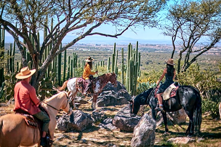 Our Habitas San Miguel de Allende