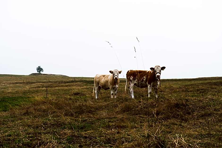 Gastinger Hotel-Restaurant